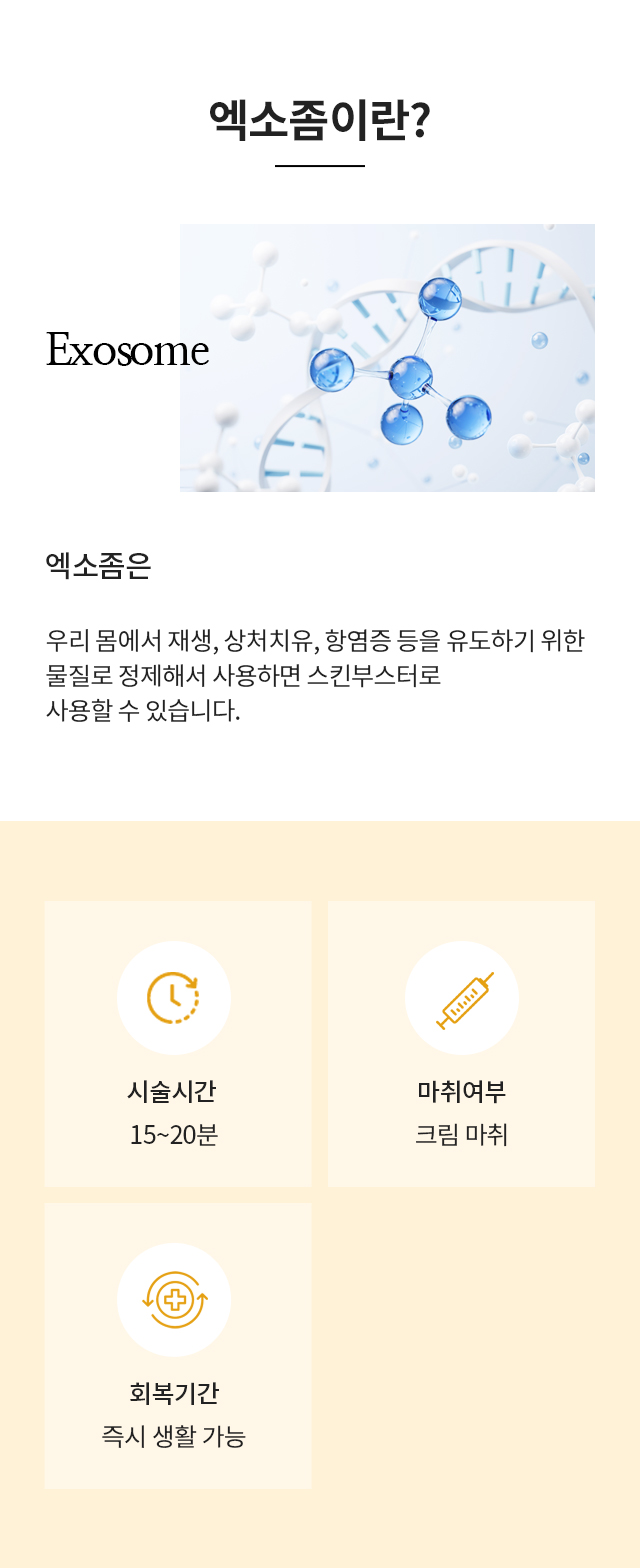 엑소좀이란?