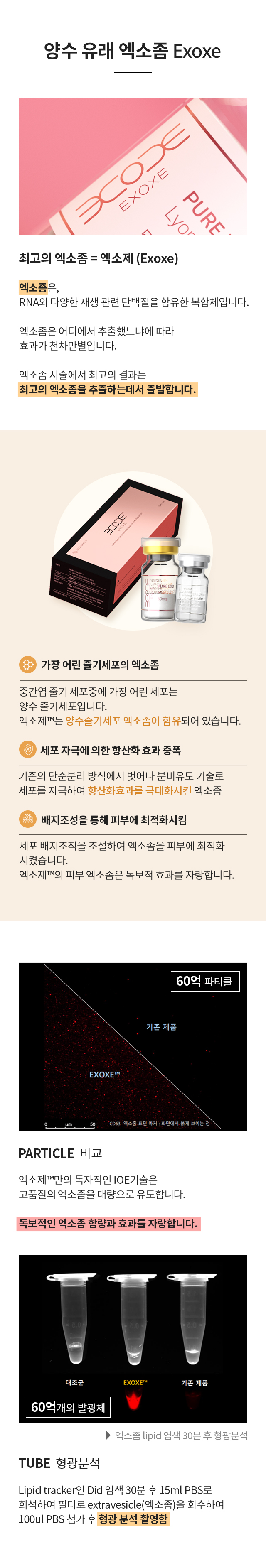 양수 유래 엑소좀 = 엑소제