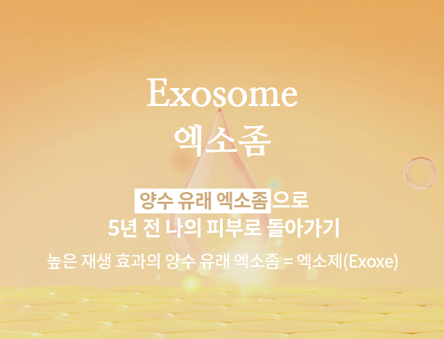 엑소좀(Exosome)