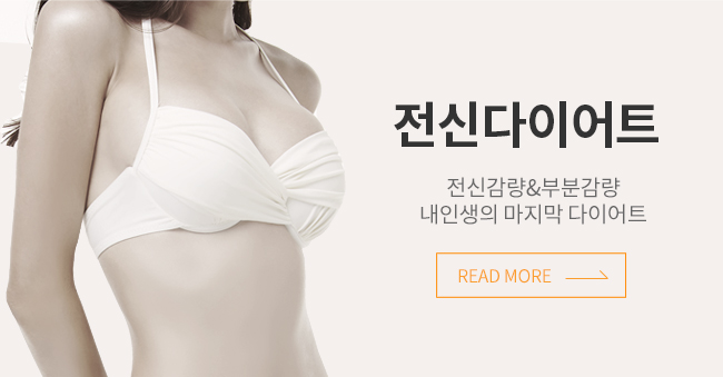 전신다이어트